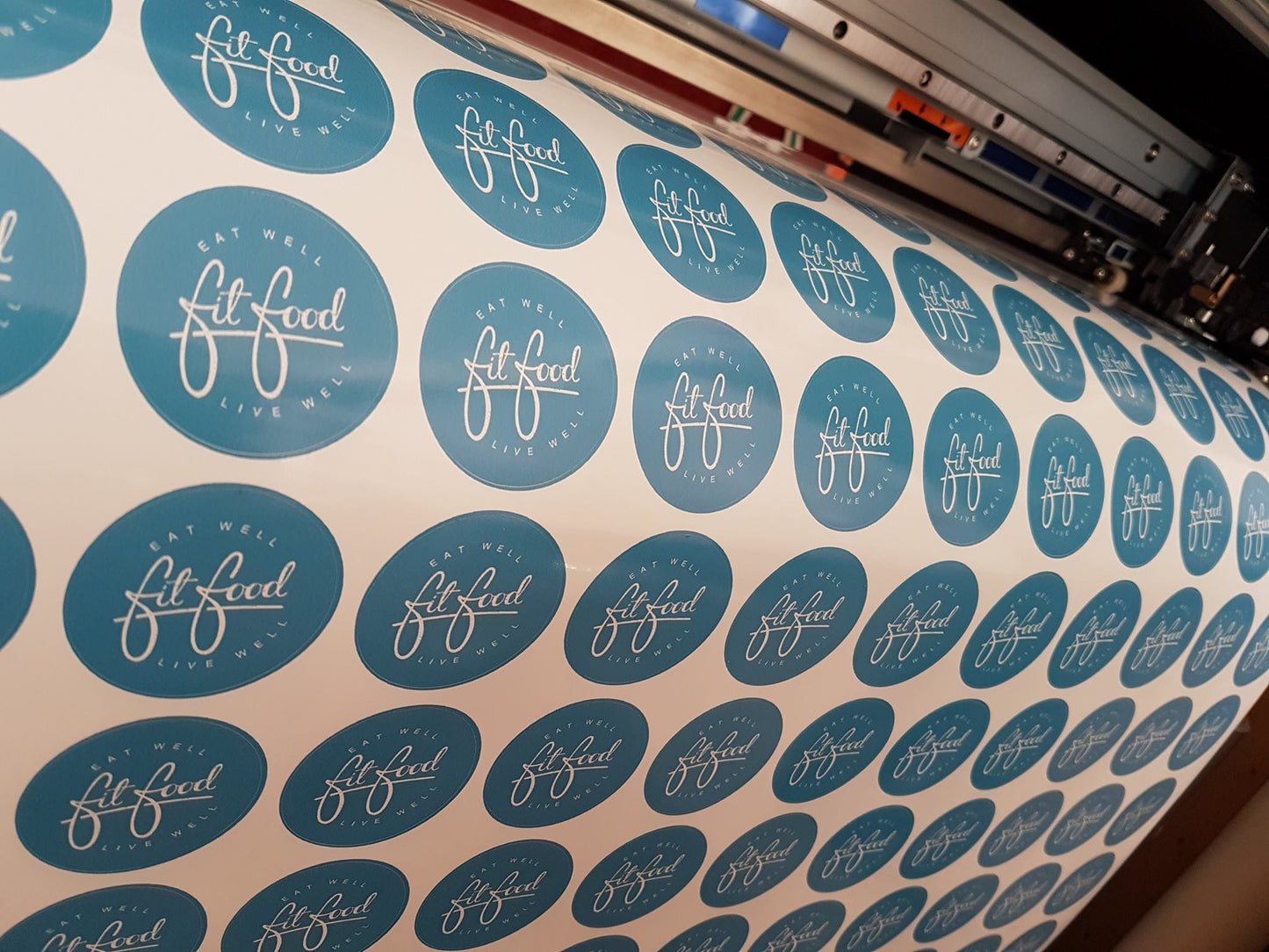 Vinyl Stickers