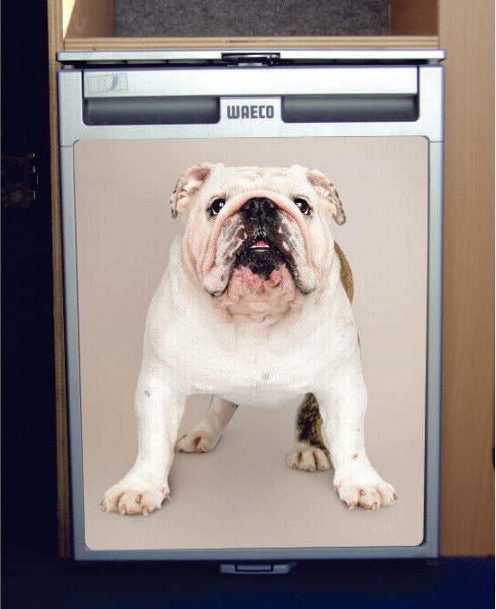 Waeco CRX50 Vinyl Fridge Sticker Wrap Print - Bulldog