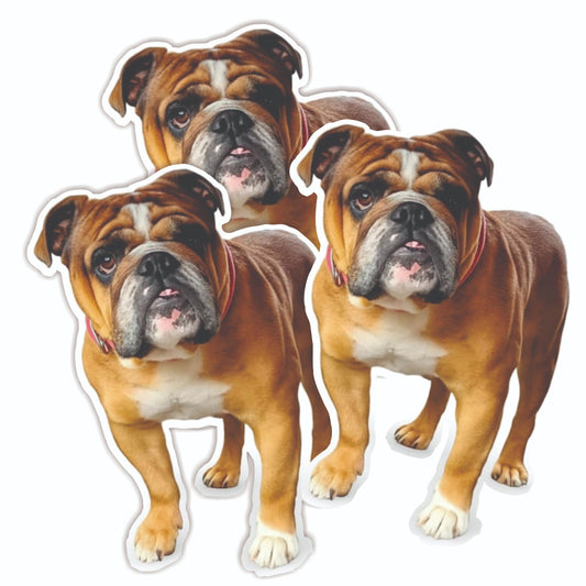 Bin Stickers Your Dog Photo Fun Novely Cute Vinyl Waterproof